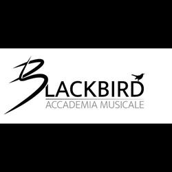 Blackbird_accademiamusicale, Vecchiano orari di apertura