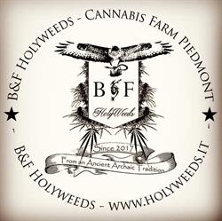 B&F Holyweeds Seeds, Carpignano Sesia orari di apertura