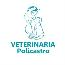 Veterinaria Policastro, Roma orari di apertura