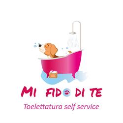 Mi fido di te, Monte San Vito orari di apertura