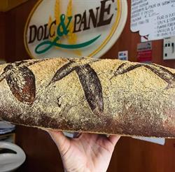 Dolc&Pane Fiumicino, orari di apertura