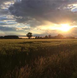 Az. Agricola Ghirotto, Villanova del Ghebbo orari di apertura