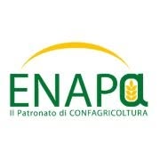 Patronato Enapa Forlì-Cesena-Rimini, orari di apertura