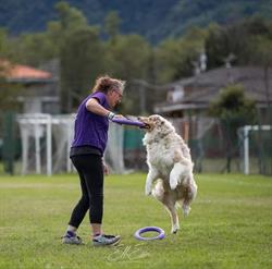 3bmydog asd, Bisuschio orari di apertura