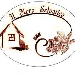 Il Moro Selvatico B&B, Poviglio orari di apertura