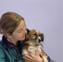 Ambulatorio Veterinario Pavese, Borgarello orari di apertura