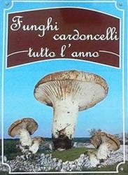 Funghi cardoncelli tutto l'anno, Gravina in Puglia orari di apertura