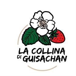 La Collina di Guisachan, San Mauro Torinese orari di apertura