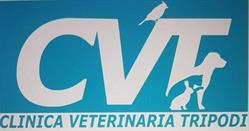 Clinica Veterinaria Tripodi, Reggio Calabria orari di apertura