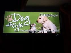 DOG STYLE, Merì orari di apertura