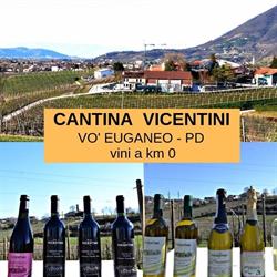 Cantina Vicentini di Vò Euganeo, Vo' orari di apertura