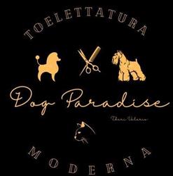 Dog Paradise Fiumicino, orari di apertura