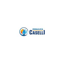 Idraulica Caselli, Piscina orari di apertura