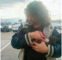 Centro di Psicologia Canina Wolf Soul, Perugia orari di apertura