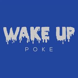 Wake Up Poke, Alessandria orari di apertura
