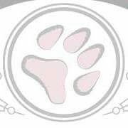 Grooming Art Toelettatura, Senigallia orari di apertura