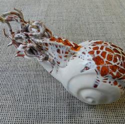 Cotto e decorato, Reggio Calabria orari di apertura