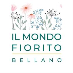 Il mondo fiorito, Bellano orari di apertura