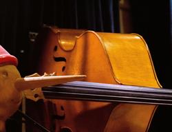 Pinocchio Jazz, Firenze orari di apertura