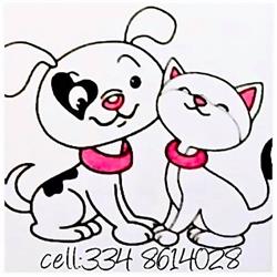 Puppy Love Pet Shop&Toelettatura, Oriago orari di apertura