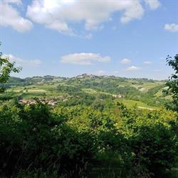 La volpe tra le vigne B&B, Castelnuovo Don Bosco orari di apertura