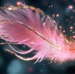 Pink Angel Fashion, Morciano di Romagna orari di apertura