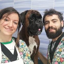 Luccicane, Settimo Torinese orari di apertura