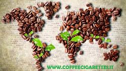 Coffee & Cigarettes, Foggia orari di apertura