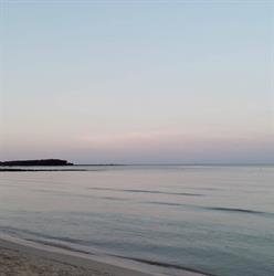 Bouganville B&B, Porto Cesareo orari di apertura