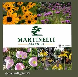 Martinelli Giardini, Lurate Caccivio orari di apertura