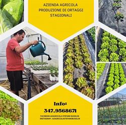 Az Agricola Stefano Busolin, Susegana orari di apertura