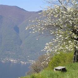 Cascina Teresina, Bellagio orari di apertura