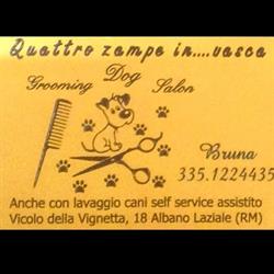 Quattro zampe in vasca, Albano Laziale orari di apertura