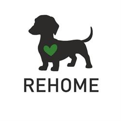Rehome, Udine orari di apertura
