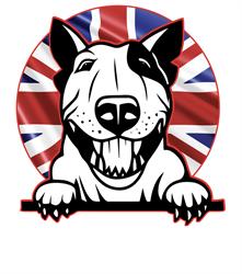 Bull&Dog Store, Tuscania orari di apertura