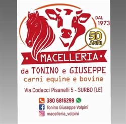 Macelleria carni Equine bovine suine ed ovine da Tonino, Surbo orari di apertura