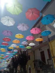 Fiori di Lillà, Vasto orari di apertura
