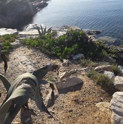Affittacamere ' Il Giglio' Viale Italia 11 Porto Azzurro, orari di apertura