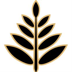 Acacia Studio Milano, orari di apertura