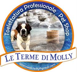 LE TERME DI MOLLY, Monterotondo orari di apertura