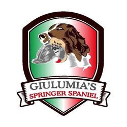 Giulumia's Centro addestramento e allevamento Springer Spaniel, Spoleto orari di apertura