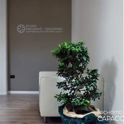 Studio Mischianti S. & Cacciamani R., Gubbio orari di apertura