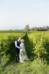 Foto Ariston Due Click & Cadeau, Montichiari orari di apertura
