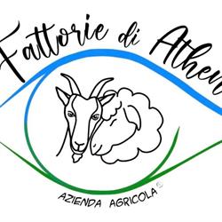 Le Fattorie di Athena, Vezzano sul Crostolo orari di apertura