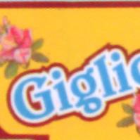 Lavanderia Giglio, Collecorvino orari di apertura