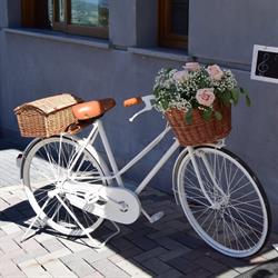 Emozioni Fiorite, Gozzano orari di apertura