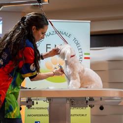 Toelettatura Professionale Per Un Pelo - Scuola di toelettatura Elena Zeggio, Lendinara orari di apertura