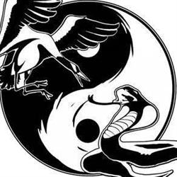 Wing Chun Basement, Lonate Ceppino orari di apertura