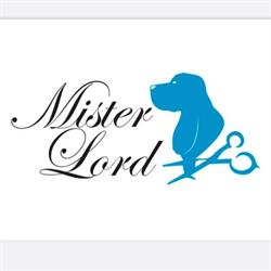 Mister Lord, Verbania orari di apertura