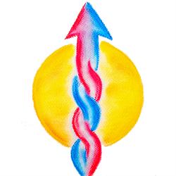 Arcieri di Luce - Counseling, Boves orari di apertura